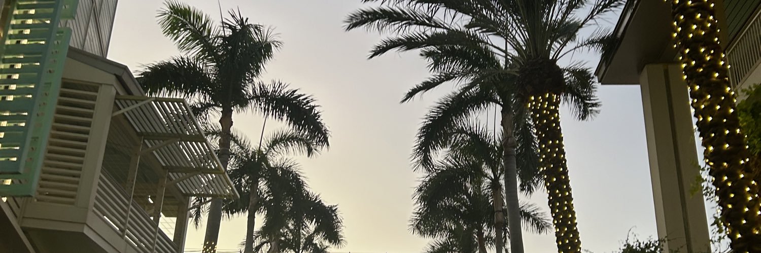 christi339's profile banner image