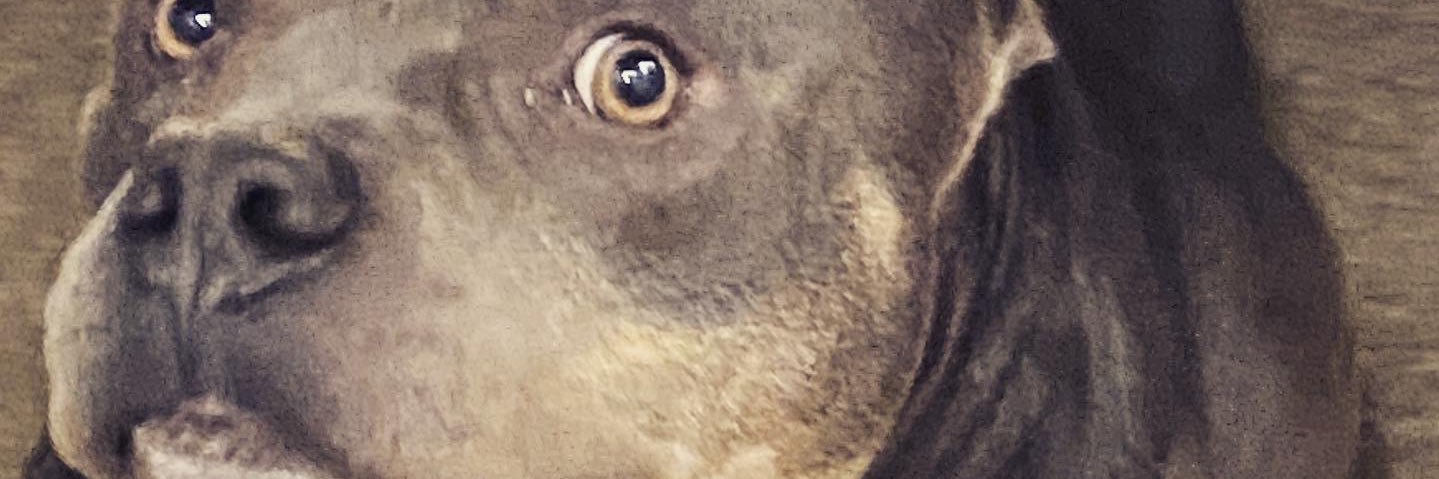 martycluff's profile banner image