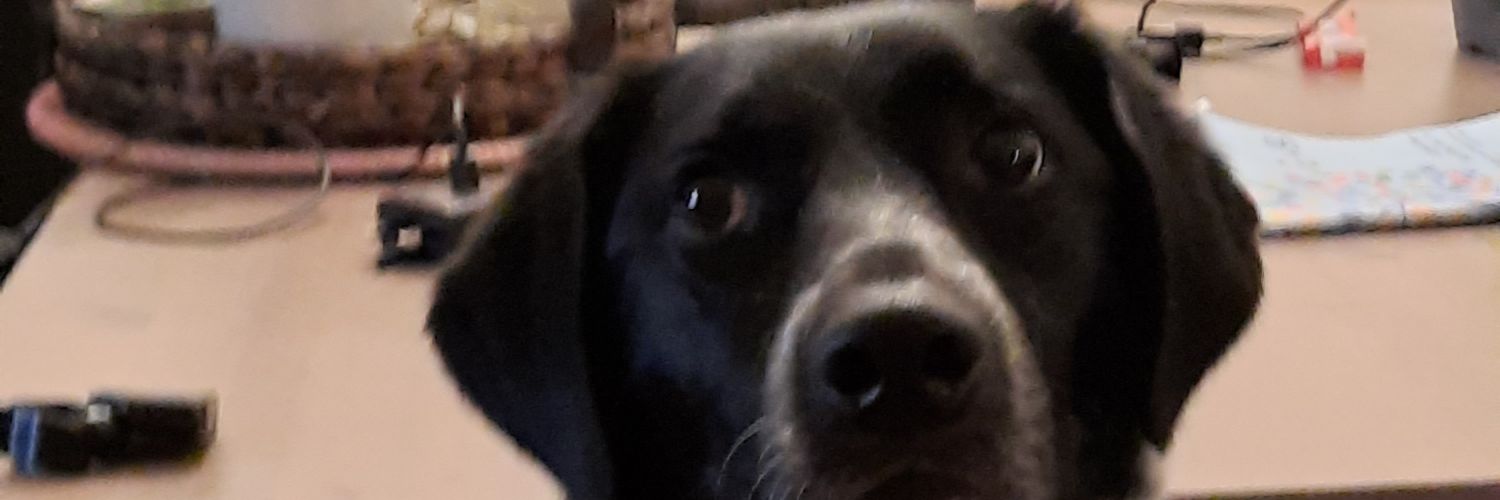 paddyking00's profile banner image