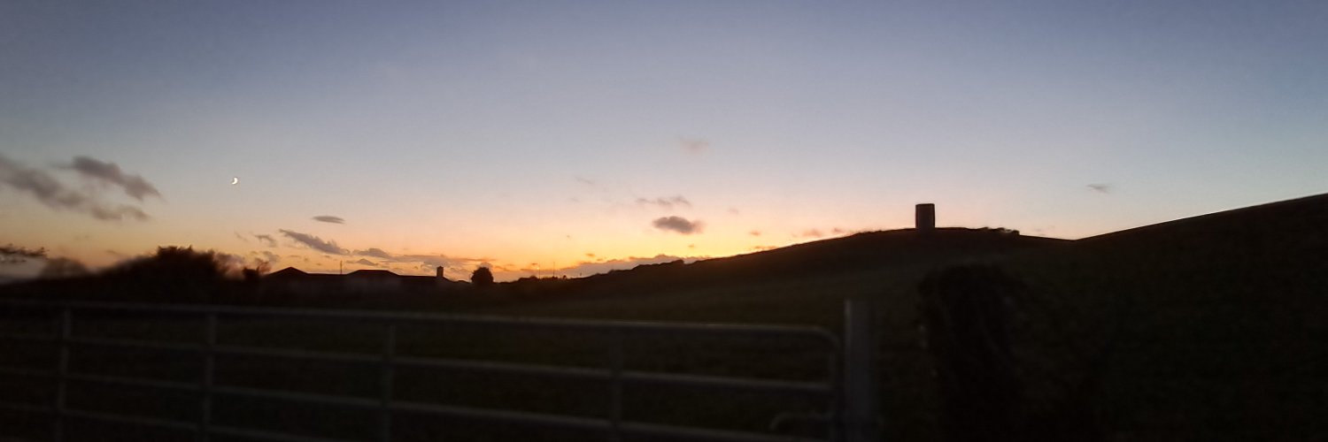 rosycheeks's profile banner image
