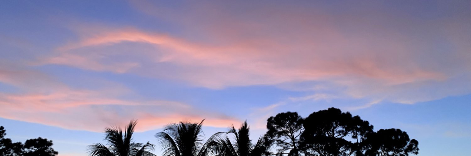 jameswindu_'s profile banner image