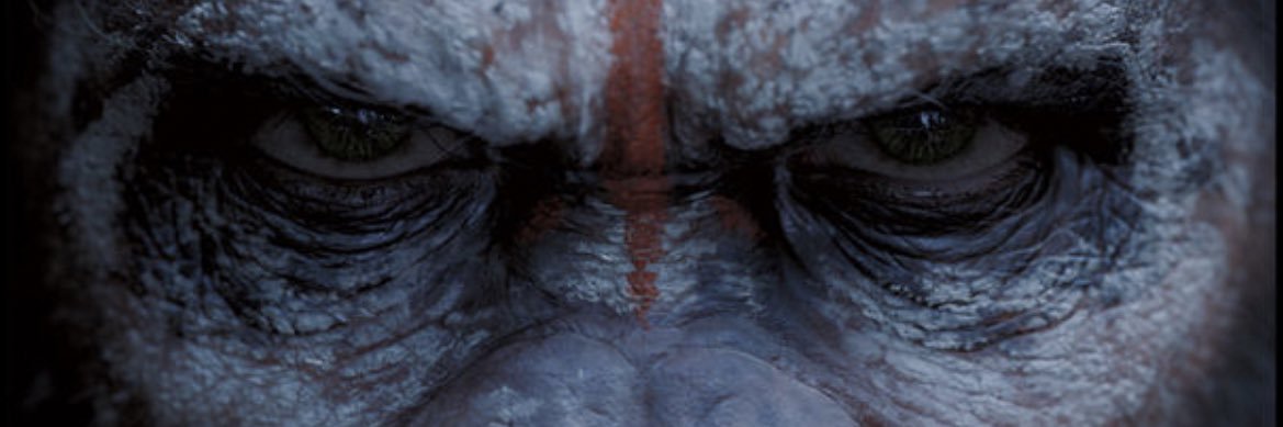 CiroAnthony86's profile banner image