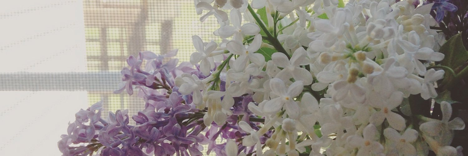 amyspurrell's profile banner image