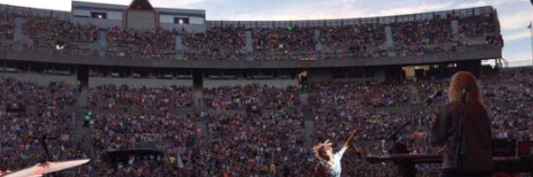 nikitasachdevo0 Profile Banner