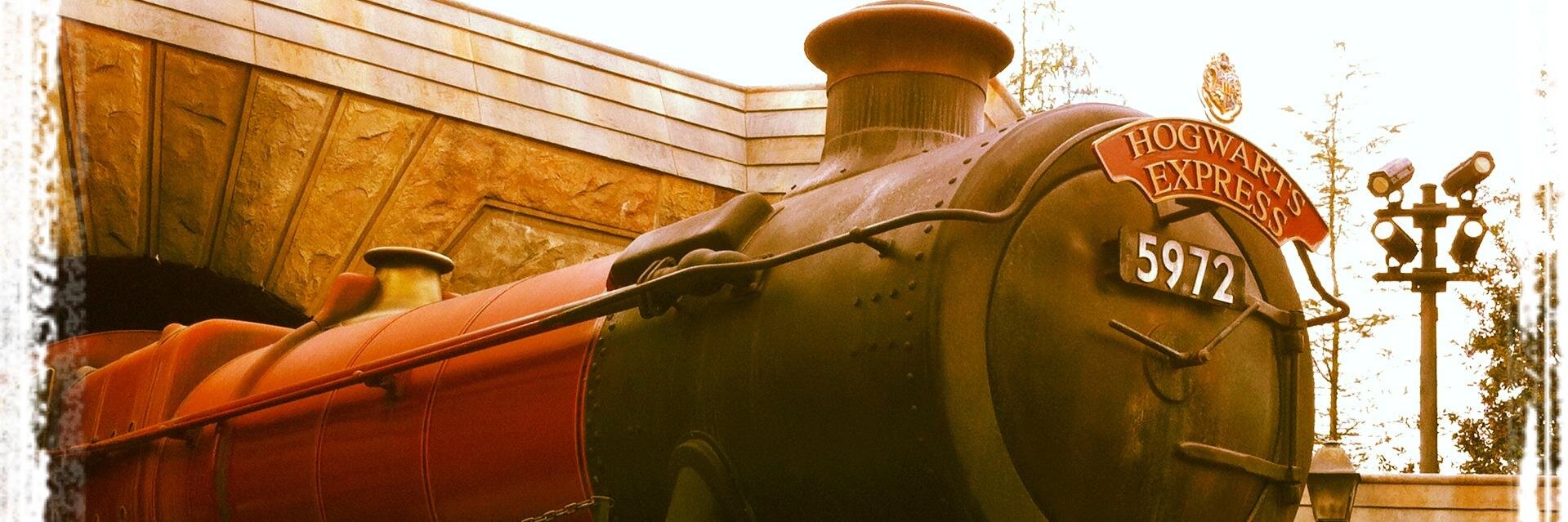 Shelley Schaberg banner