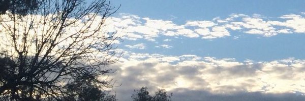 ilitich Profile Banner