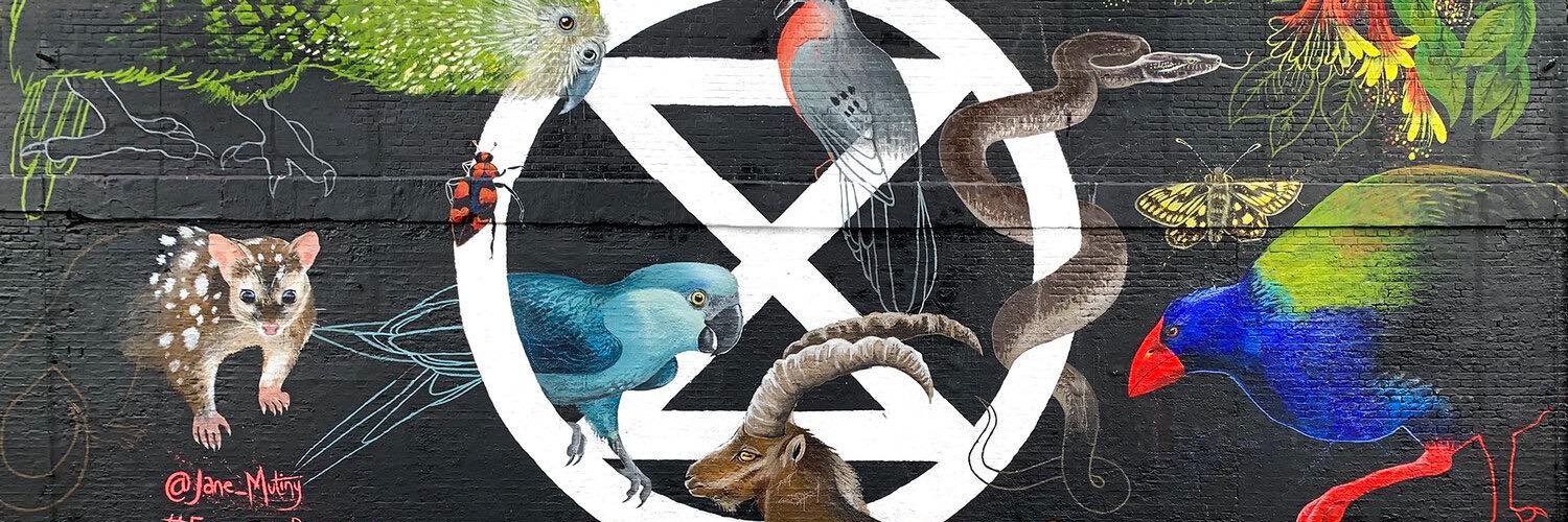 robspillman's profile banner image