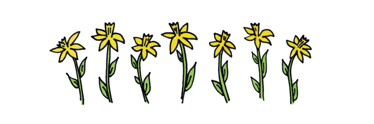_linapatton's profile banner image
