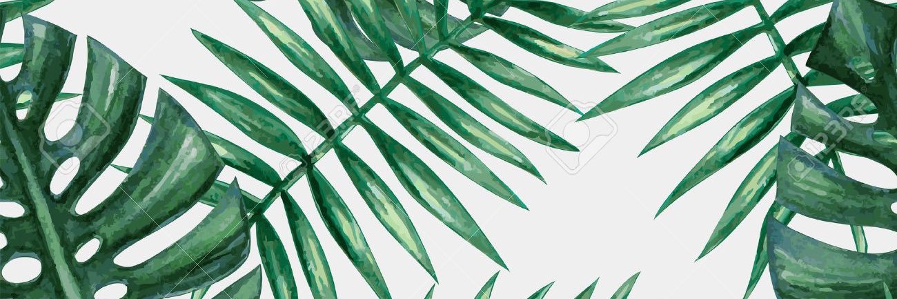 Heyyo_Hayden's profile banner image