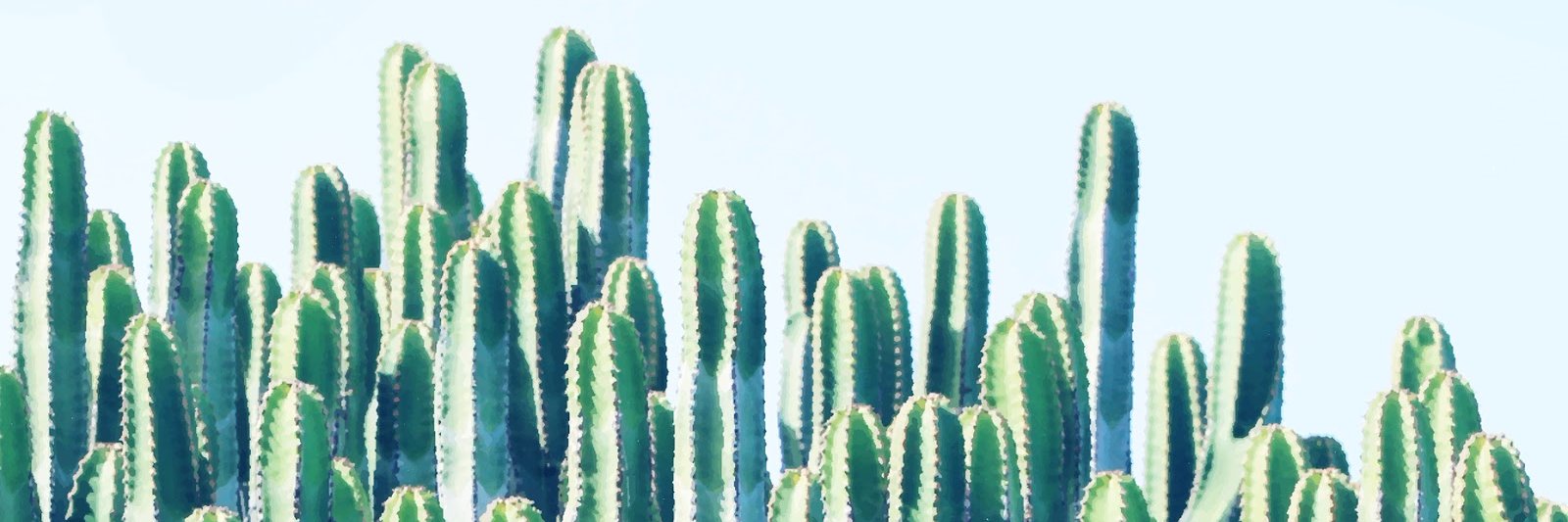 Savvjadee's profile banner image