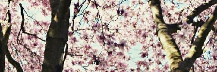 firesideprod_'s profile banner image