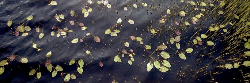 elsiefunk's profile banner image