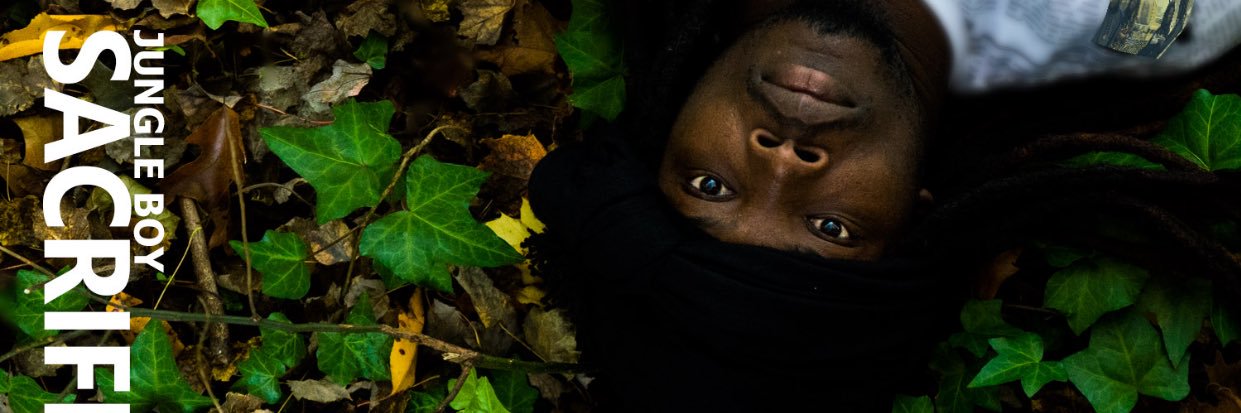 jungleboy772's profile banner image