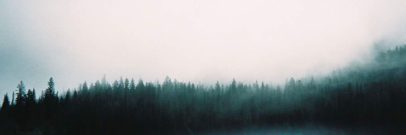 thereaperofsoul's profile banner image