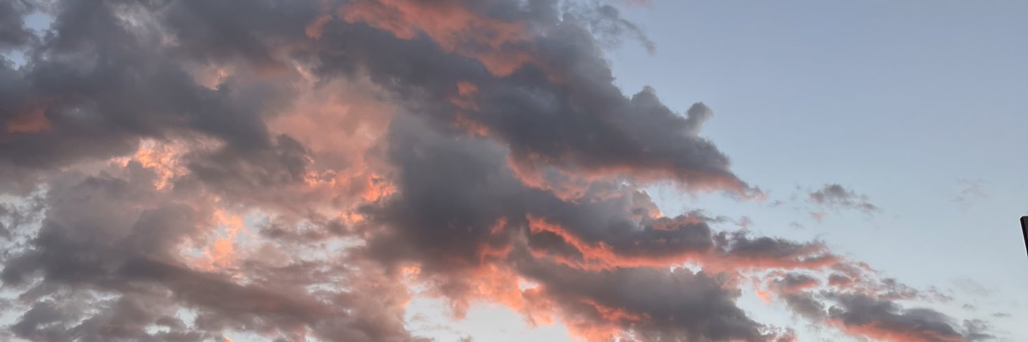 MrLard1's profile banner image