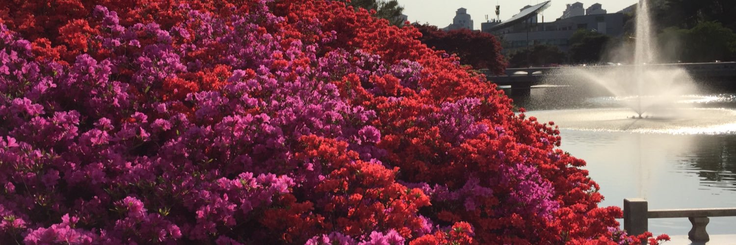 Porous Polymers banner