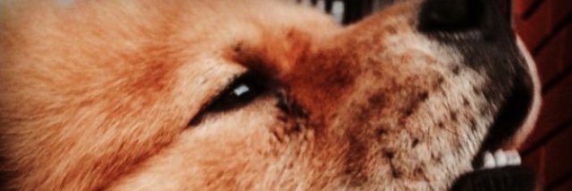 jazminvg's profile banner image