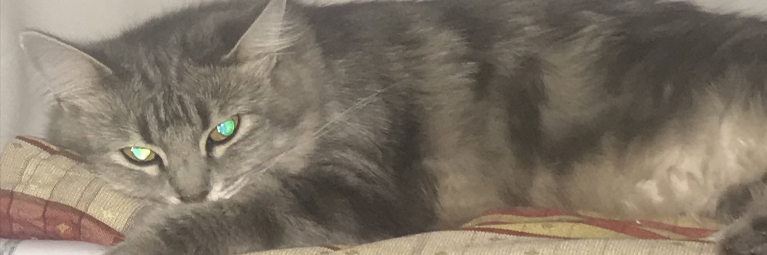 Zarpidix's profile banner image