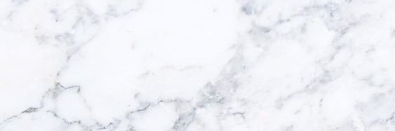 MadisonLash's profile banner image