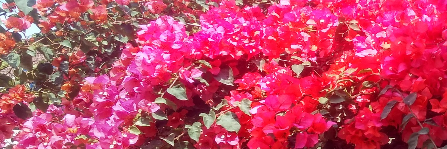 HanifahCom's profile banner image
