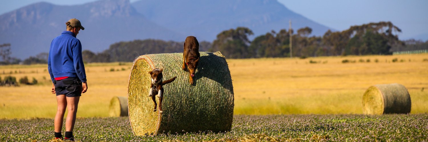 Sheep Producers Australia banner