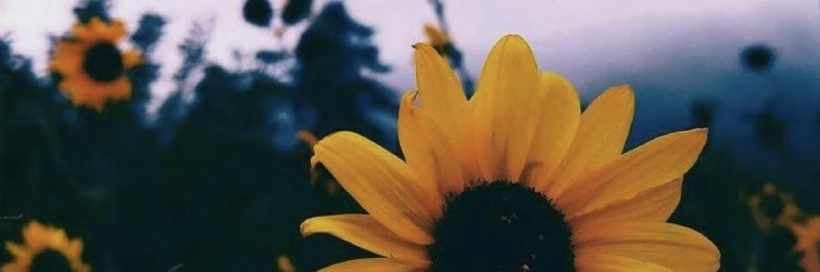 aileenjaay's profile banner image