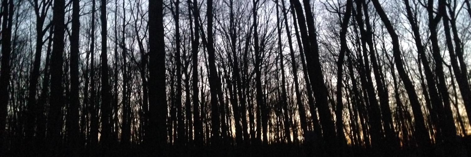 MichaelFelten's profile banner image