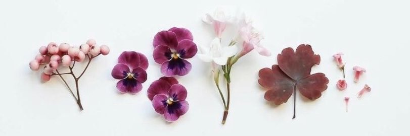 shawna_luv's profile banner image