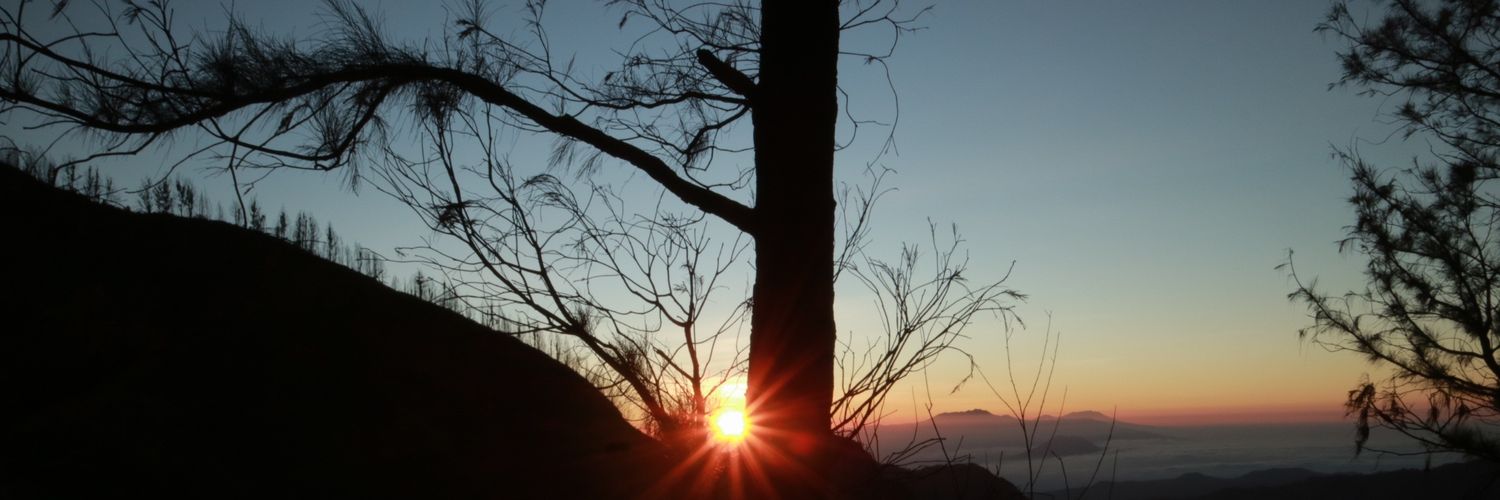 taranswer's profile banner image