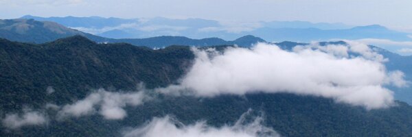 nishaSY Profile Banner