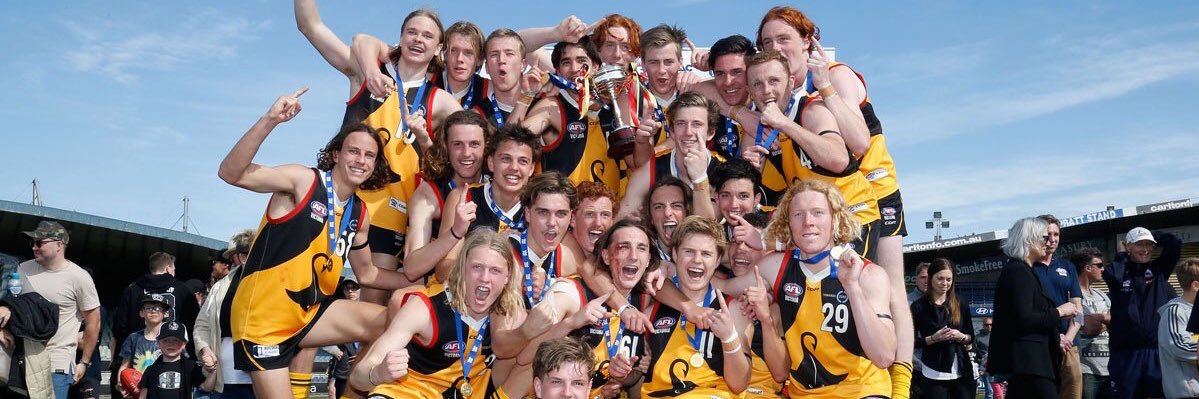 Dandenong Stingrays banner