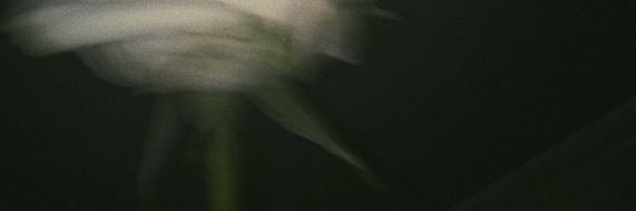 ONEROZ3's profile banner image