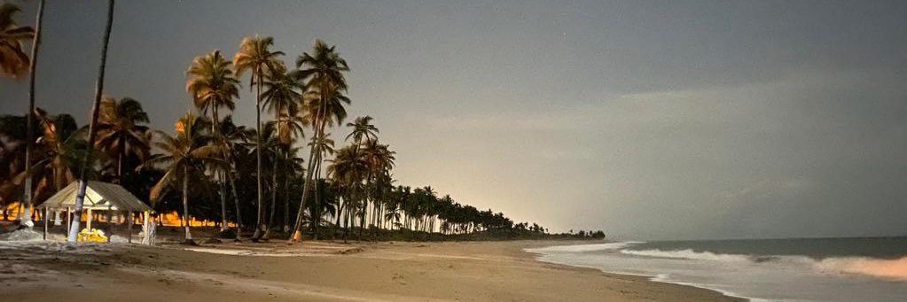 larondope's profile banner image