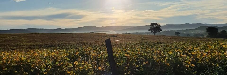 Shialvares's profile banner image