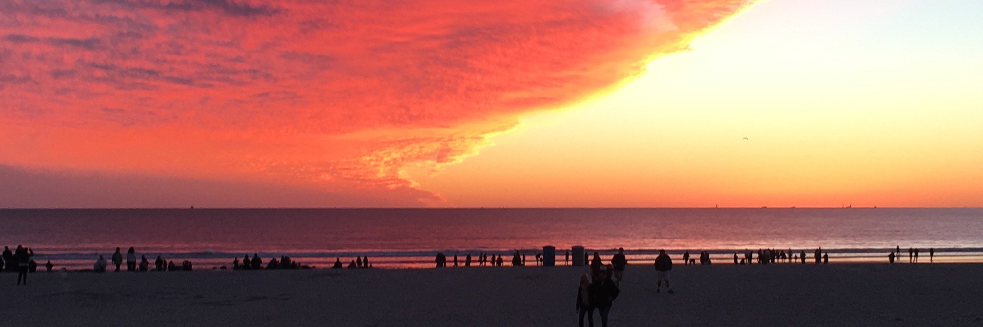 William J. Maer banner