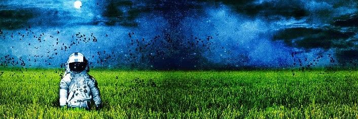 Wayne Elements banner