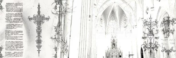 Mey. banner