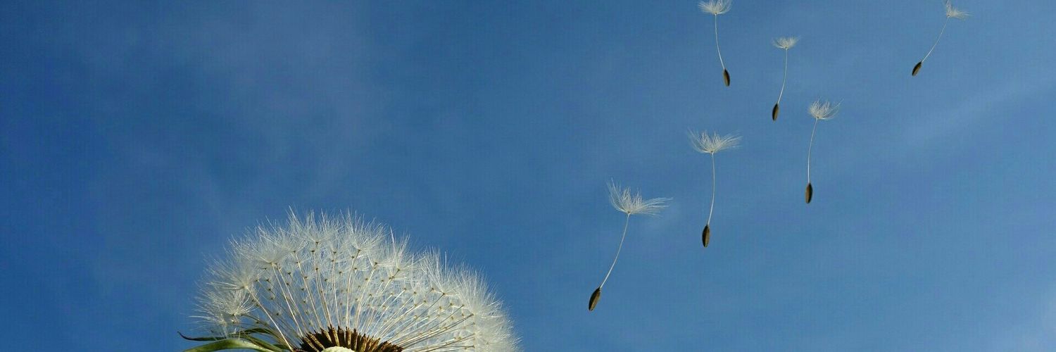 1gen2l0c3's profile banner image