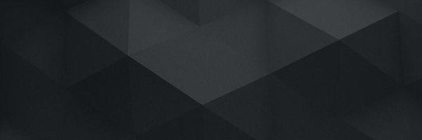 TheCommBrunette Profile Banner