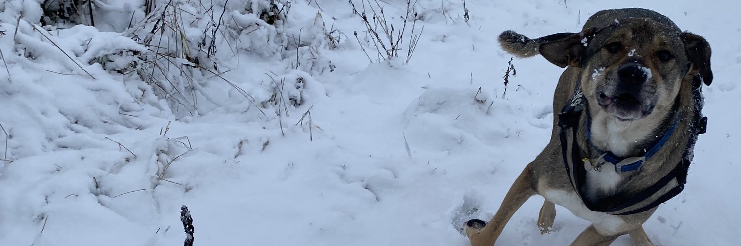 JohnMannifield's profile banner image