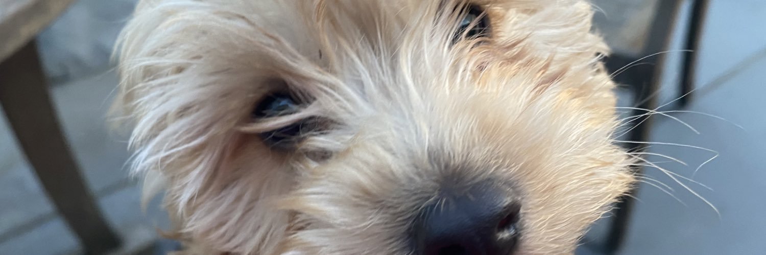 ronnie_macq's profile banner image