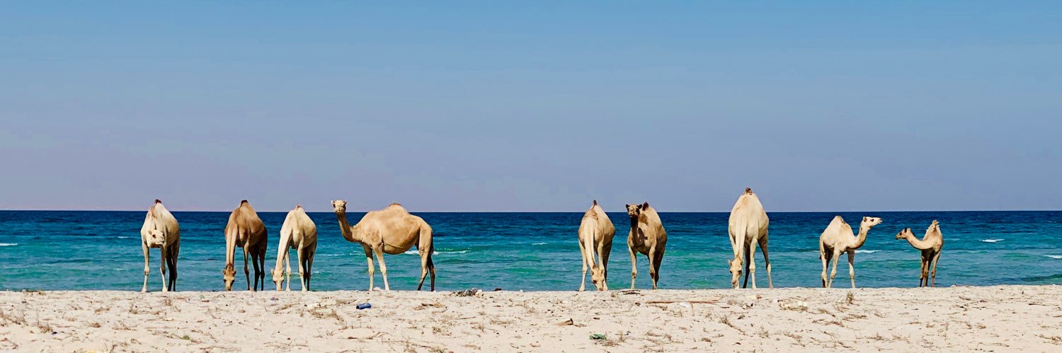 A.Aziz Alkhater . Free Palestine banner