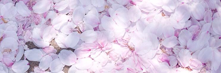 Steffeny_05's profile banner image