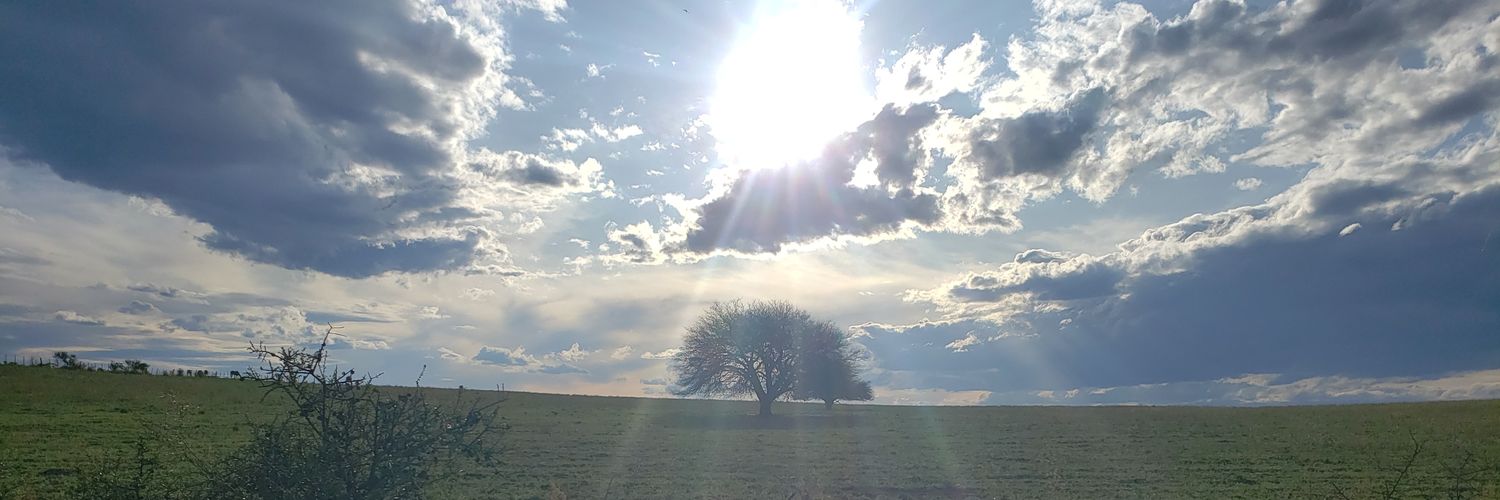 simplementesil's profile banner image