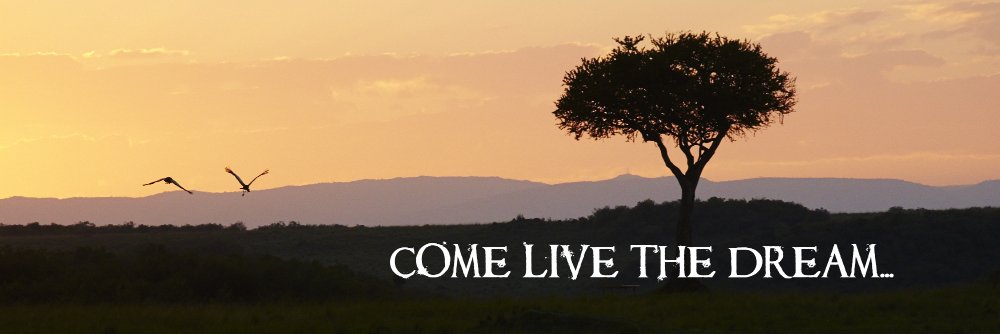 NewAfricanTerri's profile banner image