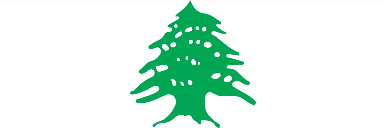 serhan_hussein's profile banner image