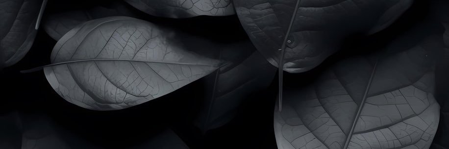 kras2030's profile banner image