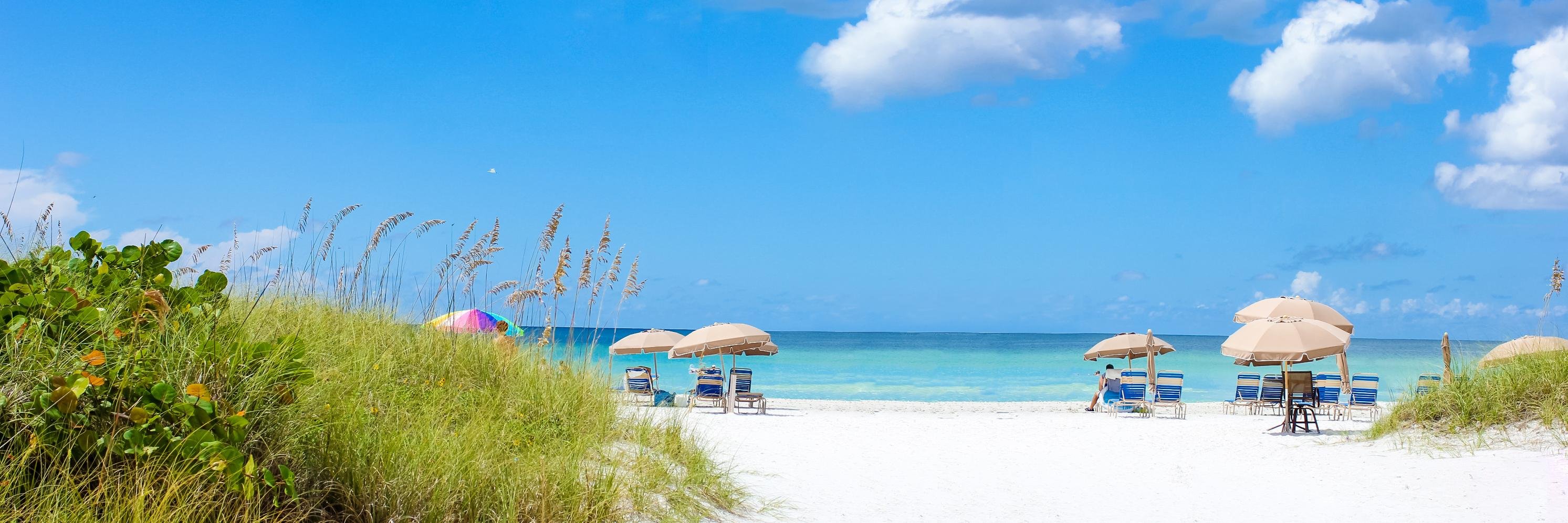 TropBeachResort's profile banner image