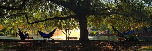 alwd1993's profile banner image