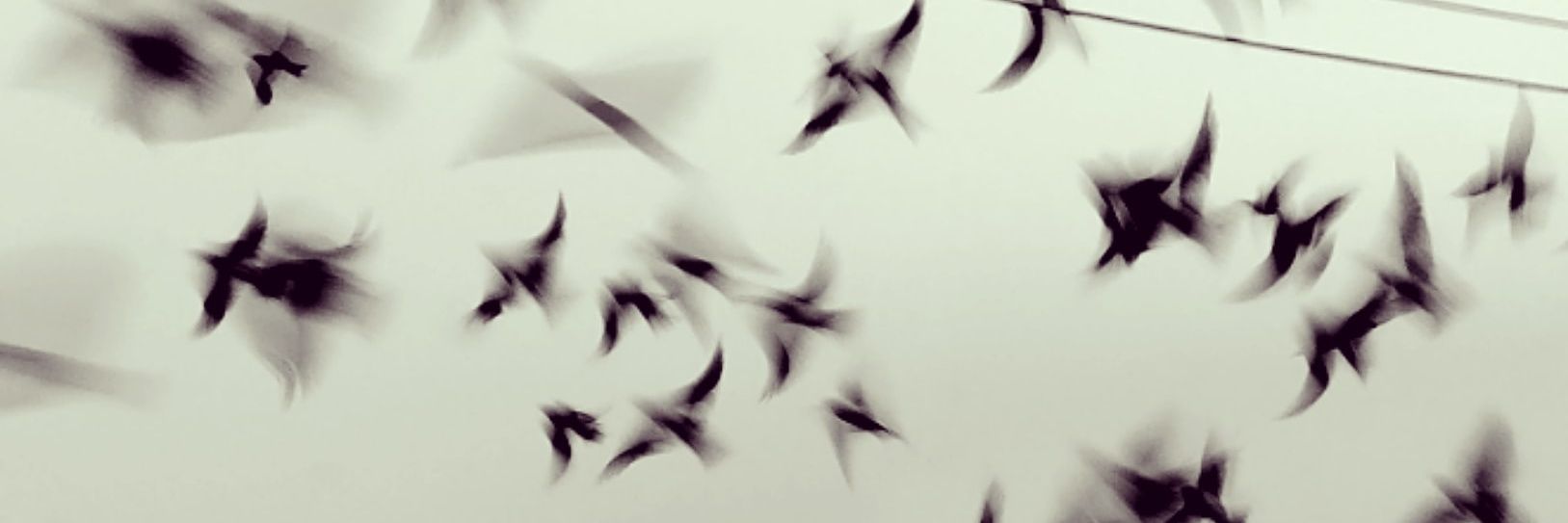andreluizabreu's profile banner image